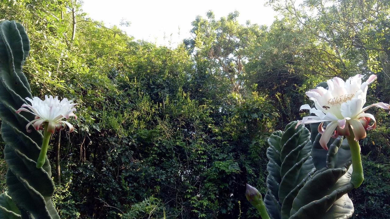 Posada Camboata Aristobulo del Valle Bagian luar foto
